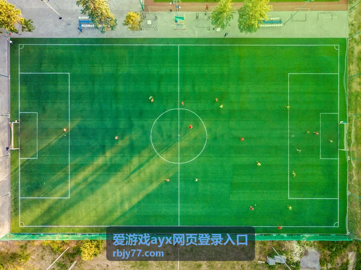 爱游戏ayx网页登录入口地址核对示意
