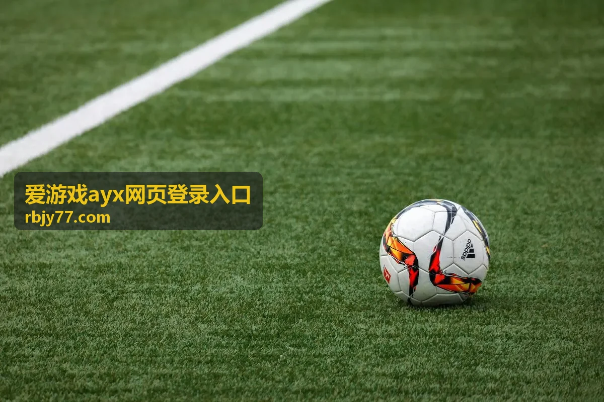 爱游戏ayx网页登录入口信息填写示意