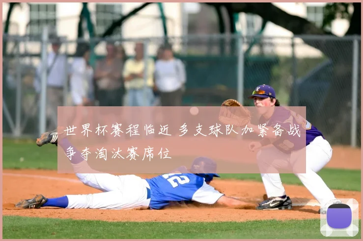 世界杯赛程临近 多支球队加紧备战争夺淘汰赛席位