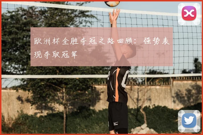 欧洲杯全胜夺冠之路回顾:强势表现夺取冠军