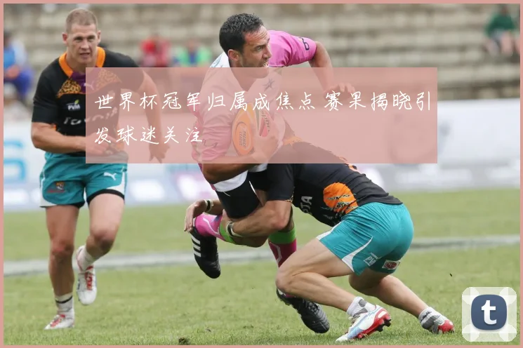 世界杯冠军归属成焦点 赛果揭晓引发球迷关注